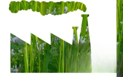 Greenwashing: A Critical Analysis of Financial Practices