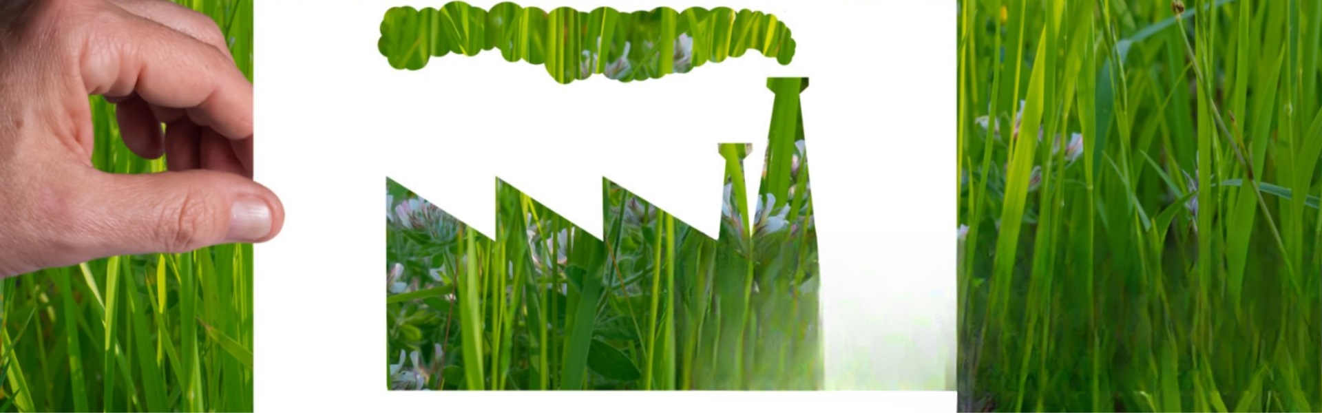 Greenwashing: A Critical Analysis of Financial Practices