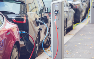 The crucial role of state policies in accelerating EV adoption