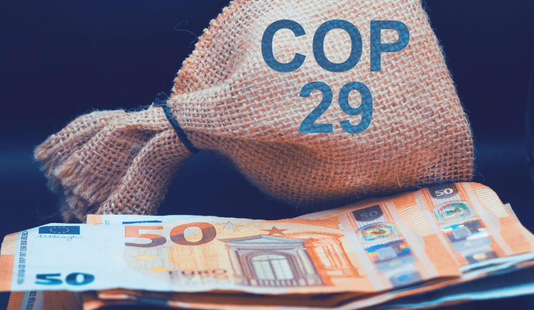 A ‘paltry’ $300 billion climate finance deal on offer, is COP of any benefit anymore