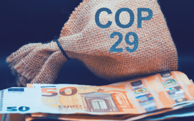 A ‘paltry’ $300 billion climate finance deal on offer, is COP of any benefit anymore