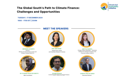 The Global South’s Path to Climate Finance: Challenges and Opportunities