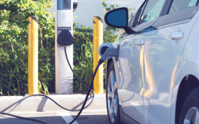 What the Indian EV, Renewable sector expects from 2025