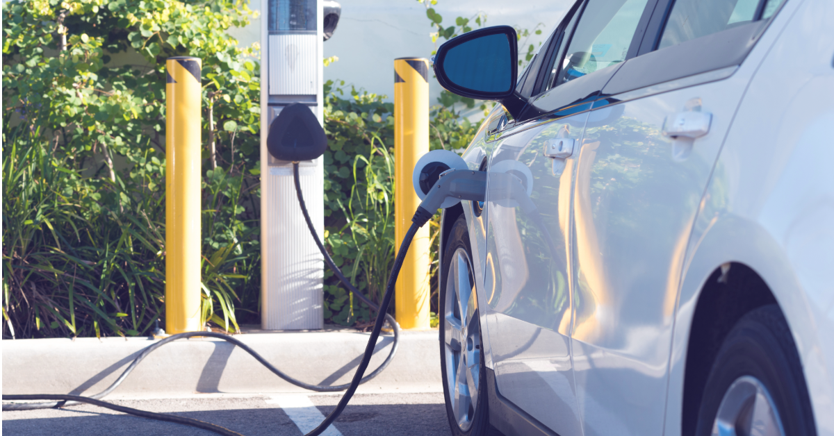 What the Indian EV, Renewable sector expects from 2025