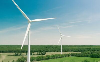 What renewable energy industry expects from the Budget 2025