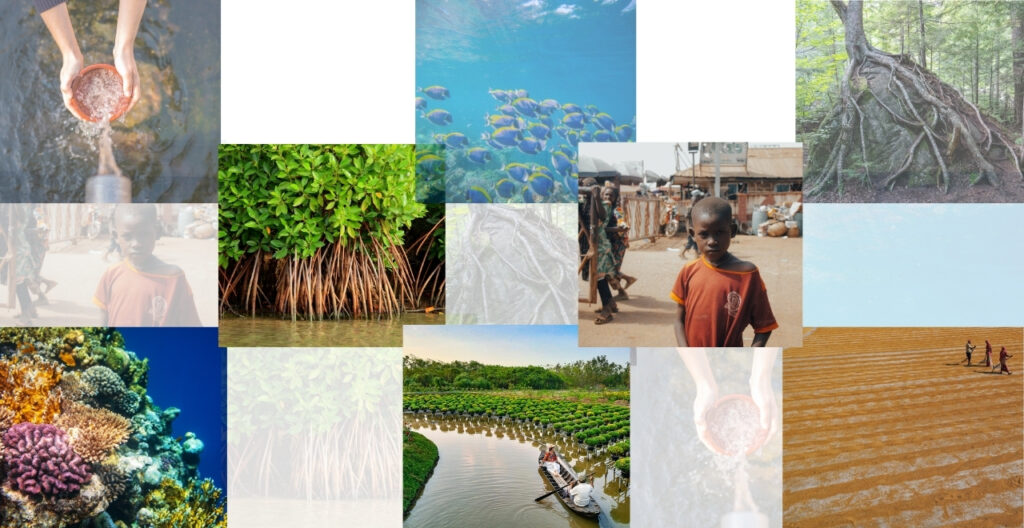 Nature-based Solutions: A Primer on Their Foundations, Evolution, and Relevance Today