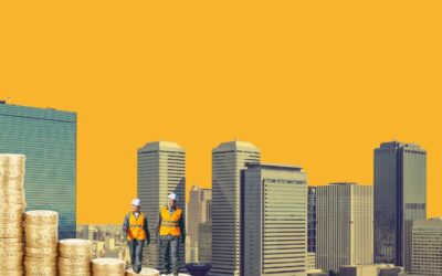 Financing Nature-based Solutions: A Primer on Financing Requirements, Flows, and Instruments