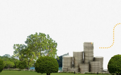 Scaling Finance for Nature-based Solutions: Key Challenges