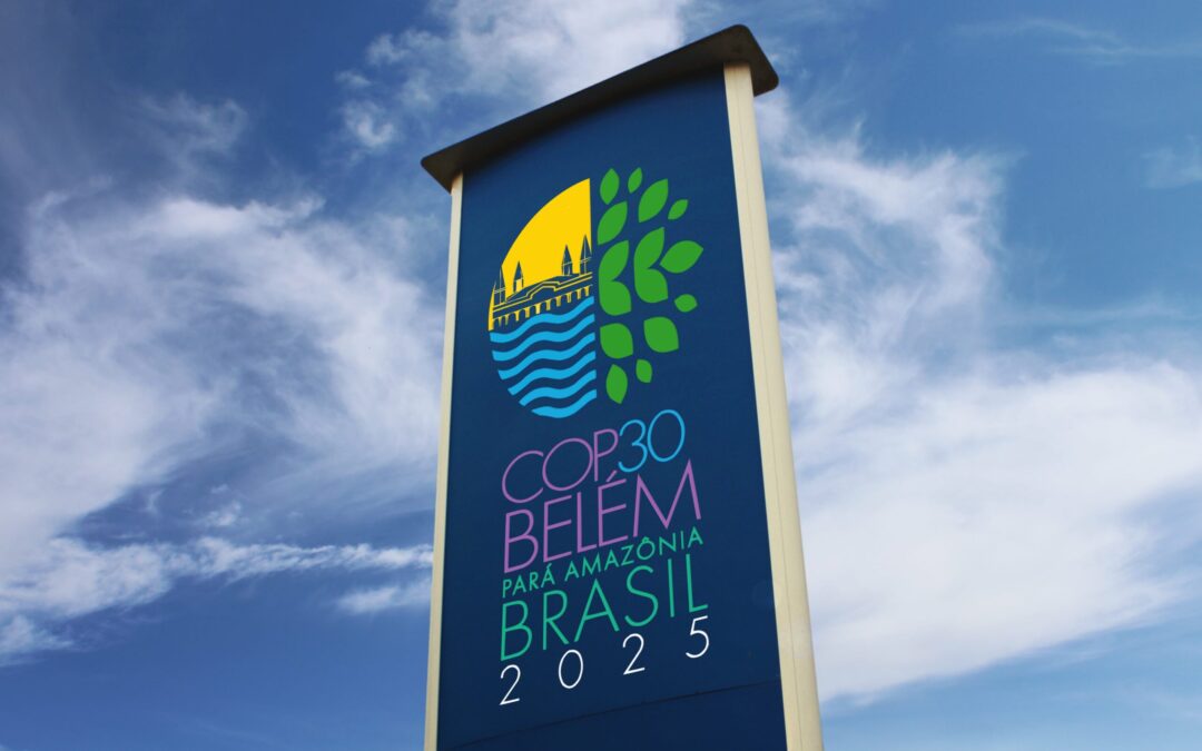 The Baku to Belém Roadmap to 1.3T: A Road That Must Be Travelled