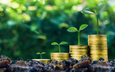 How Credit Ratings Undermine Climate Finance for the Global South