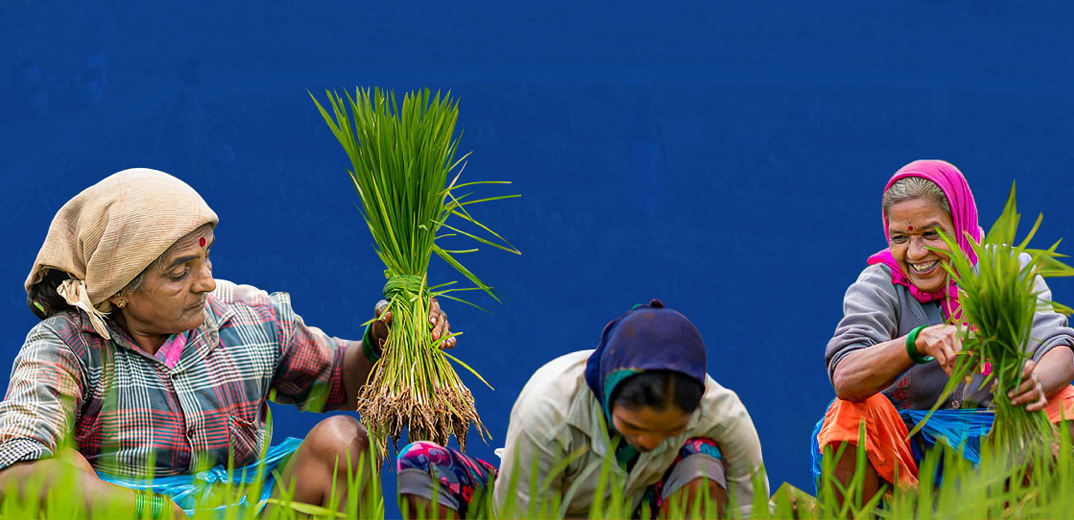 Climate Risks and Agriculture-Finance Schemes: Assessing India’s Readiness for the Future