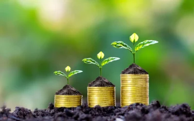 India Can Tap $1.2 Trillion in Institutional Capital For Green Transition: Report