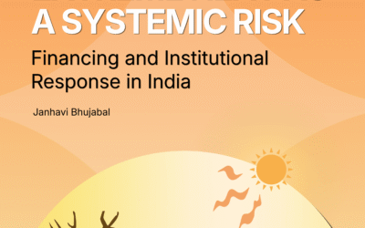 Extreme Heat As A Systemic Risk: Financing and Institutional Response in India